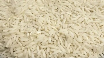 برنج را گران‌تر از 18500 نخرید/اعلام قیمت نهایی برنج 