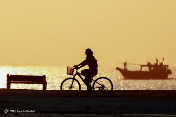 روز کیش