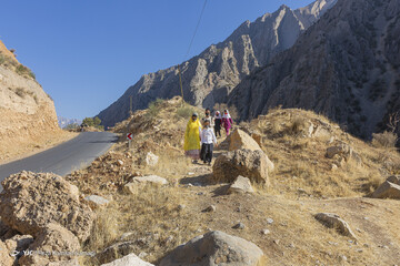 شاد زیر درخت بلوط