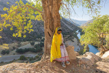 ببینید | تحصیل با موبایل زیر درخت بلوط