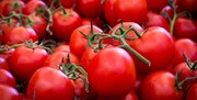 عرضه گسترده گوجه فرنگی در میادین میوه و تره بار تهران به قیمت بالای ۱۰ هزار تومان