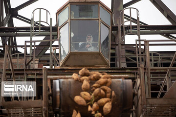 ببینید | کارخانه قند بیستون