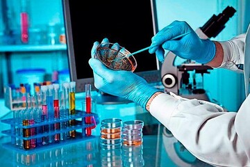 ۲۳ جهش ژنتیکی کرونا شناسایی شد/جزییات