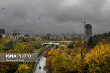 طبیعت تهران در فصل پاییز