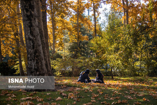 ببینید | قاب‌هایی سحرآمیز از طبیعت تهران در فصل پاییز 22