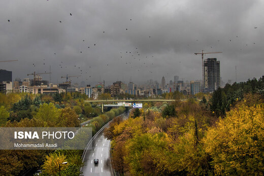 ببینید | قاب‌هایی سحرآمیز از طبیعت تهران در فصل پاییز 19