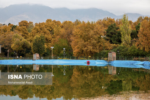 ببینید | قاب‌هایی سحرآمیز از طبیعت تهران در فصل پاییز 16