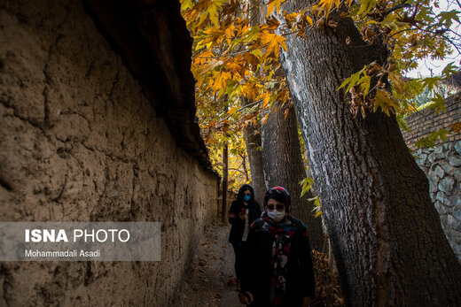 طبیعت تهران در فصل پاییز