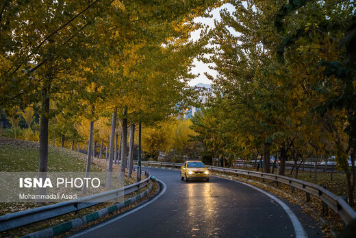 ببینید | قاب‌هایی سحرآمیز از طبیعت تهران در فصل پاییز 14