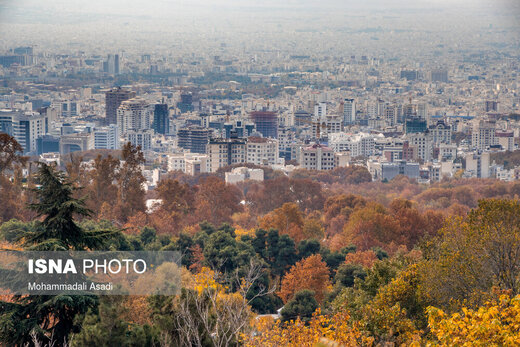 ببینید | قاب‌هایی سحرآمیز از طبیعت تهران در فصل پاییز 13
