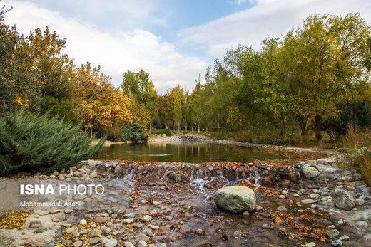 ببینید | قاب‌هایی سحرآمیز از طبیعت تهران در فصل پاییز 10