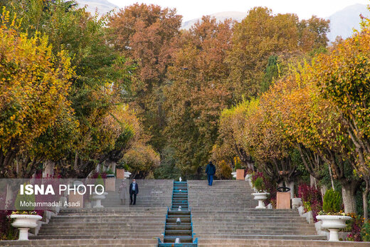 ببینید | قاب‌هایی سحرآمیز از طبیعت تهران در فصل پاییز 7