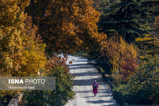 ببینید | قاب‌هایی سحرآمیز از طبیعت تهران در فصل پاییز 6