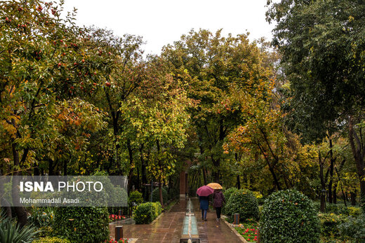ببینید | قاب‌هایی سحرآمیز از طبیعت تهران در فصل پاییز 5