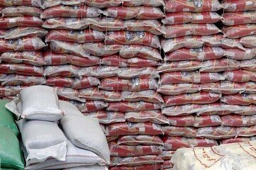 برنج وارداتی ۱۴۸ درصد گران شد