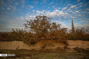 خزان در پارک ائل گلی تبریز