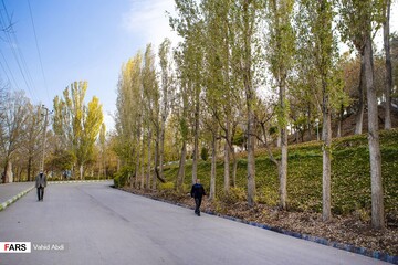 خزان در پارک ائل گلی تبریز