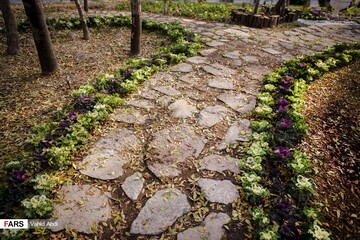 خزان در پارک ائل گلی تبریز