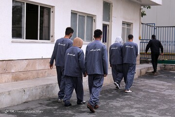 دستگیری زورگیران قمه به دست آزادراه تهران - شمال