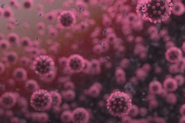 ببینید | آخرین آمار و ارقام کرونا در ایران