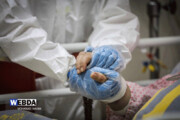 تصاویر | اینجا نصف جهان ، تصاویر تماشایی از مرکز درمان بیماران کرونا