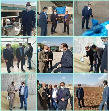‍ بازدید رئیس سازمان جهاد کشاورزی لرستان از روند تهیه ، توزیع  و تولید نهادهای دامی در شهرستان خرم آباد