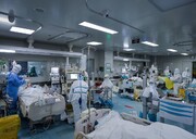 متخصص عفونی:  یک تخت خالی هم نداریم؛ بیماران کرونا با ۱۰۰ میلیون تومان هم جا پیدا نمی‌کنند