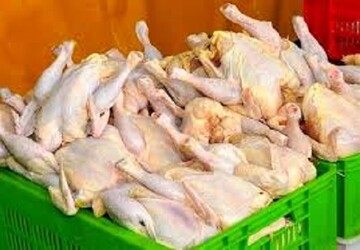 کاهش ١٥ هزار تومانی قیمت مرغ

