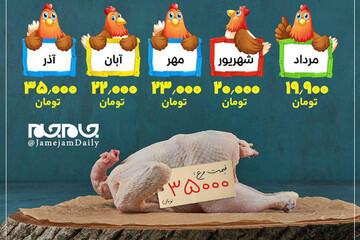 ببینید | تغییرات عجیب در قیمت مرغ