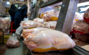 توزیع مرغ منجمد در سراسر کشور با قیمت مصوب