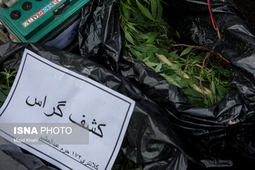 دستگیری ۷۳۱ مجرم در سی و نهمین مرحله از اجرای طرح رعد