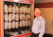 ۵ نرخی شدن مرغ در روزگار کرونایی