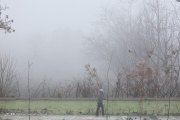 همدان در مه