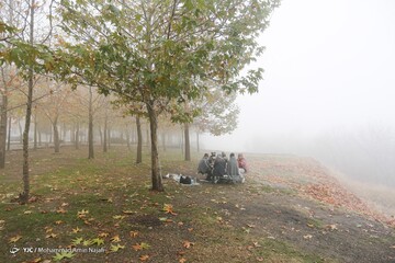 همدان در مه