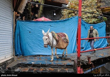 تعطیلی دوهفته ای شهر تهران - محله دربند