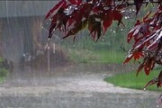 تا پایان هفته در این ۱۱ استان باران شدید می‌بارد