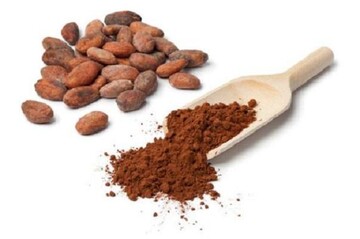 کاکائو برای مغز خوب است
