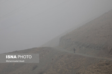 تهران در مه