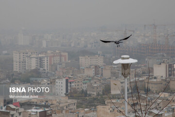 تهران در مه