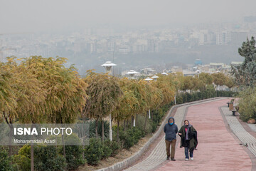 تهران در مه