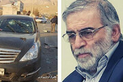 ببینید | جزئیات شهادت دانشمند سرشناس ایران از زبان یک کارشناس مسائل امنیتی