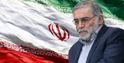 پیام رئیس سازمان انرژی اتمی به وزیر دفاع به مناسبت شهادت محسن فخری‌زاده