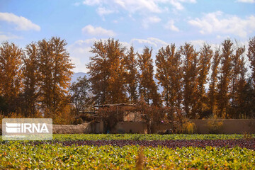 ببینید | زیبایی مسحورکننده پاییز در اصفهان