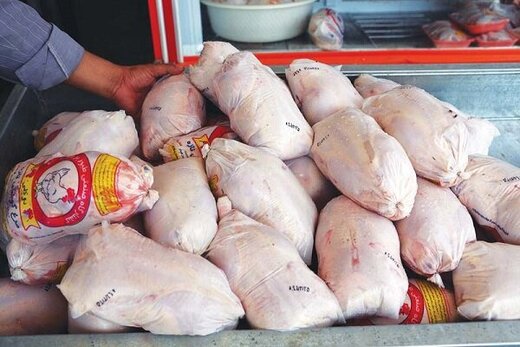 پشت‌پرده افزایش قیمت مرغ در بازار/ خوراک مرغ‌ها گم شد