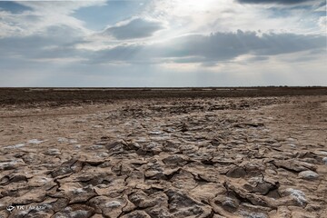 نفس های آخر گاوخونی