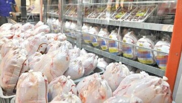 توزیع  مرغ گرم با قیمت دولتی در ۵۰ مرکز منتخب استان البرز
