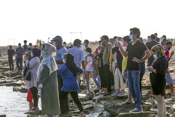 سفر ۴۰ هزار مسافر به سواحل خلیج فارس