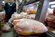 ببینید | آخرین وضعیت قیمت مرغ در بازار