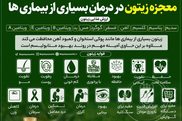 اینفوگرافیک | معجزه مصرف زیتون در درمان بعضی از بیماری‌ها