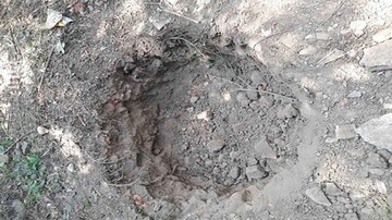 دستگیری حفار غیرمجاز در درجزین مهدی‌شهر